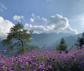 HÀ NỘI-SAPA-HÀ NỘI