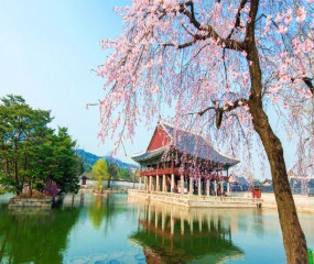 Các điểm thăm quan quanh Seoul - Hàn Quốc